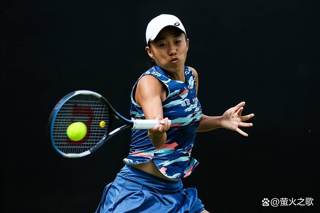 它需要的是 它需要的是