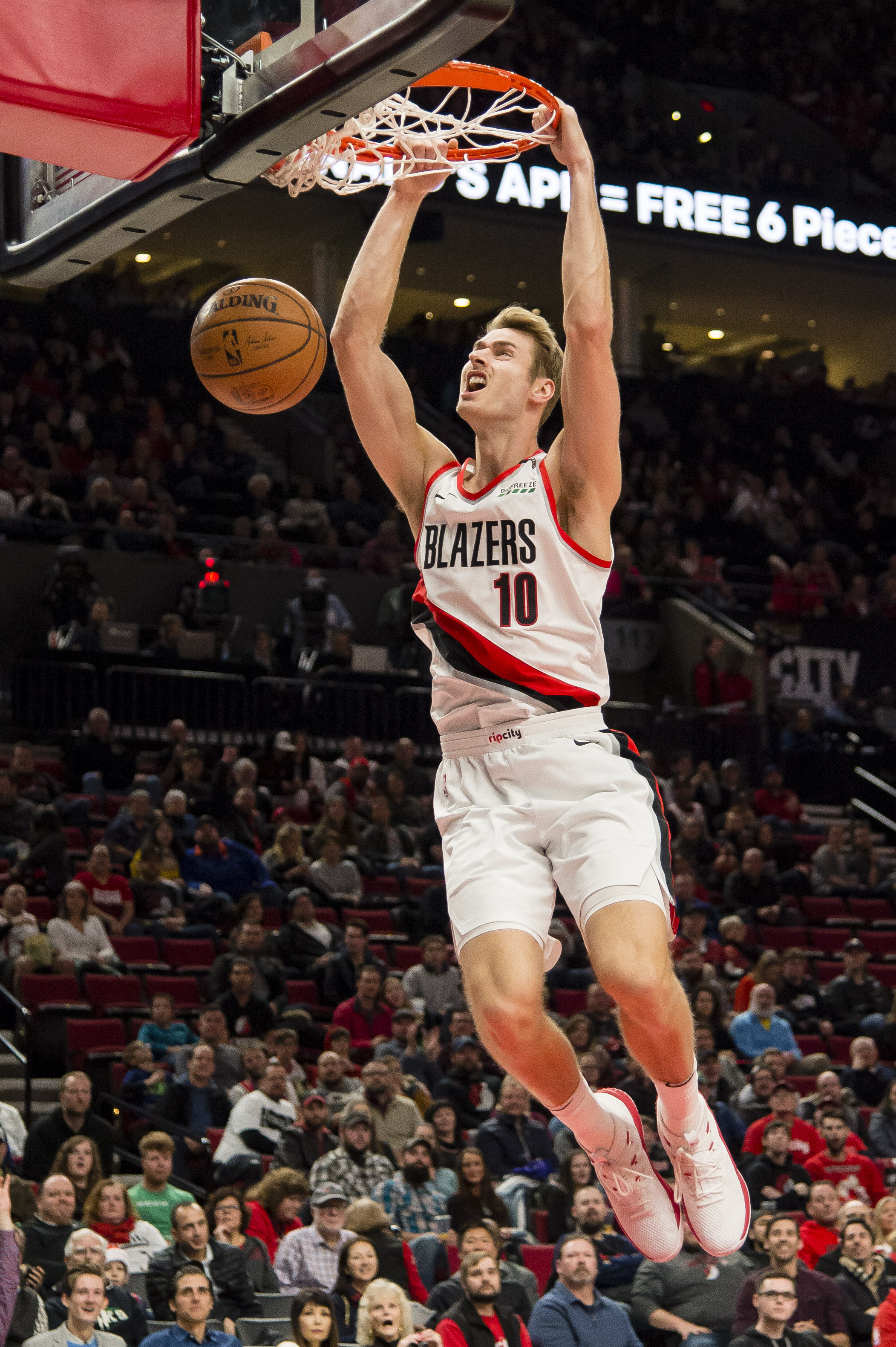 乐言的体系 乐言的体系