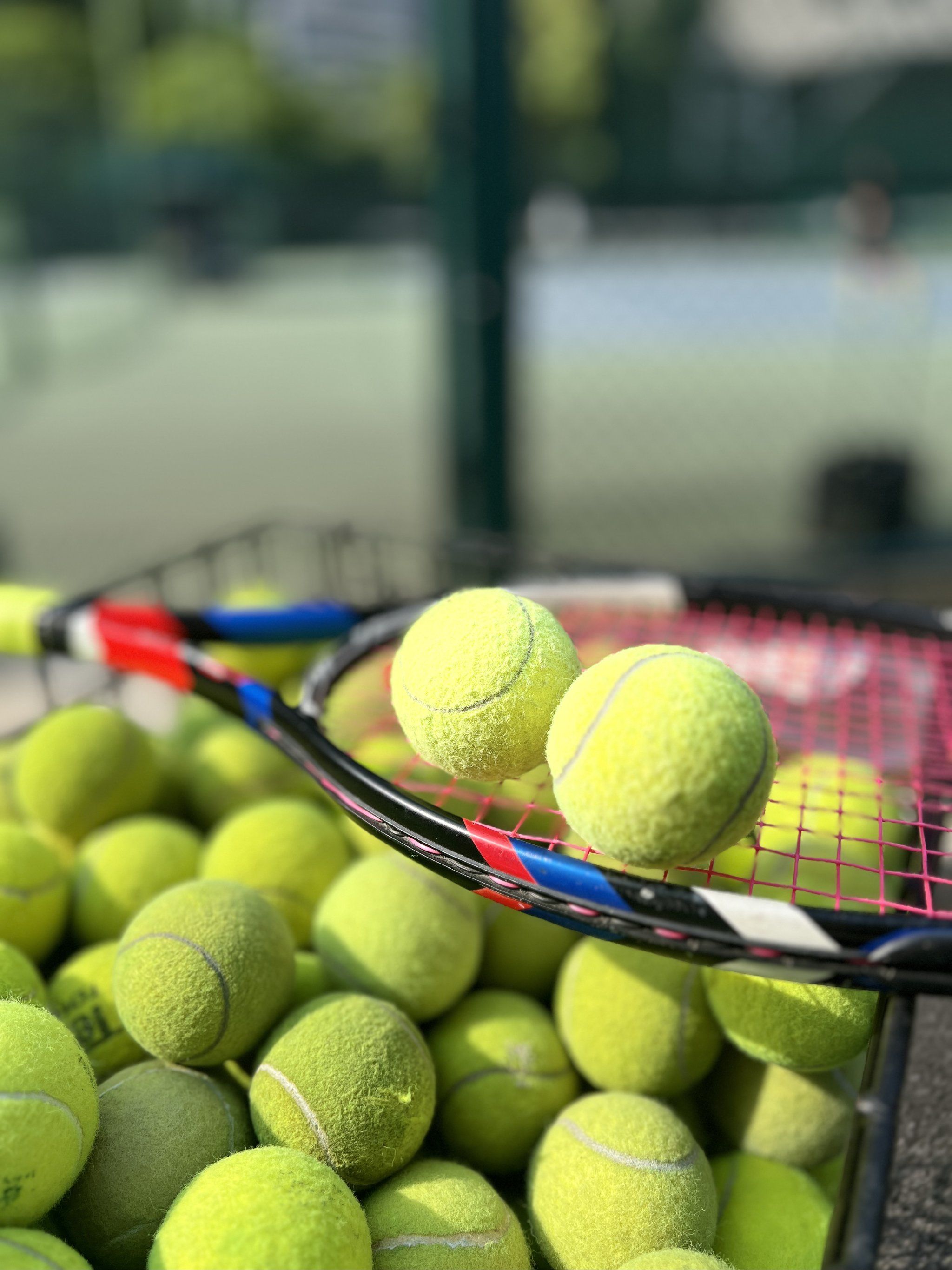 不看堆砌 不看堆砌